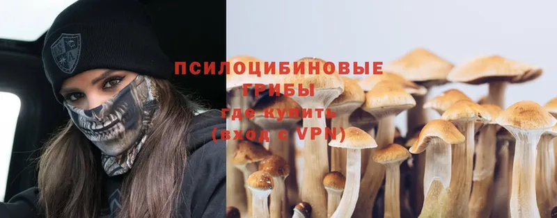 shop официальный сайт  Лебедянь  Галлюциногенные грибы MAGIC MUSHROOMS  OMG рабочий сайт 